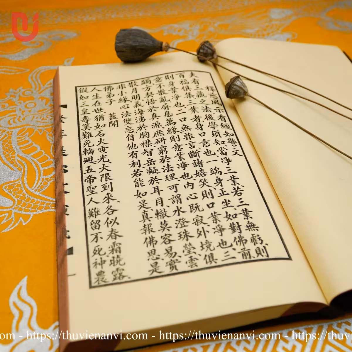 Phát Bồ Đề Tâm Văn Diễn Nghĩa - Ảnh 7