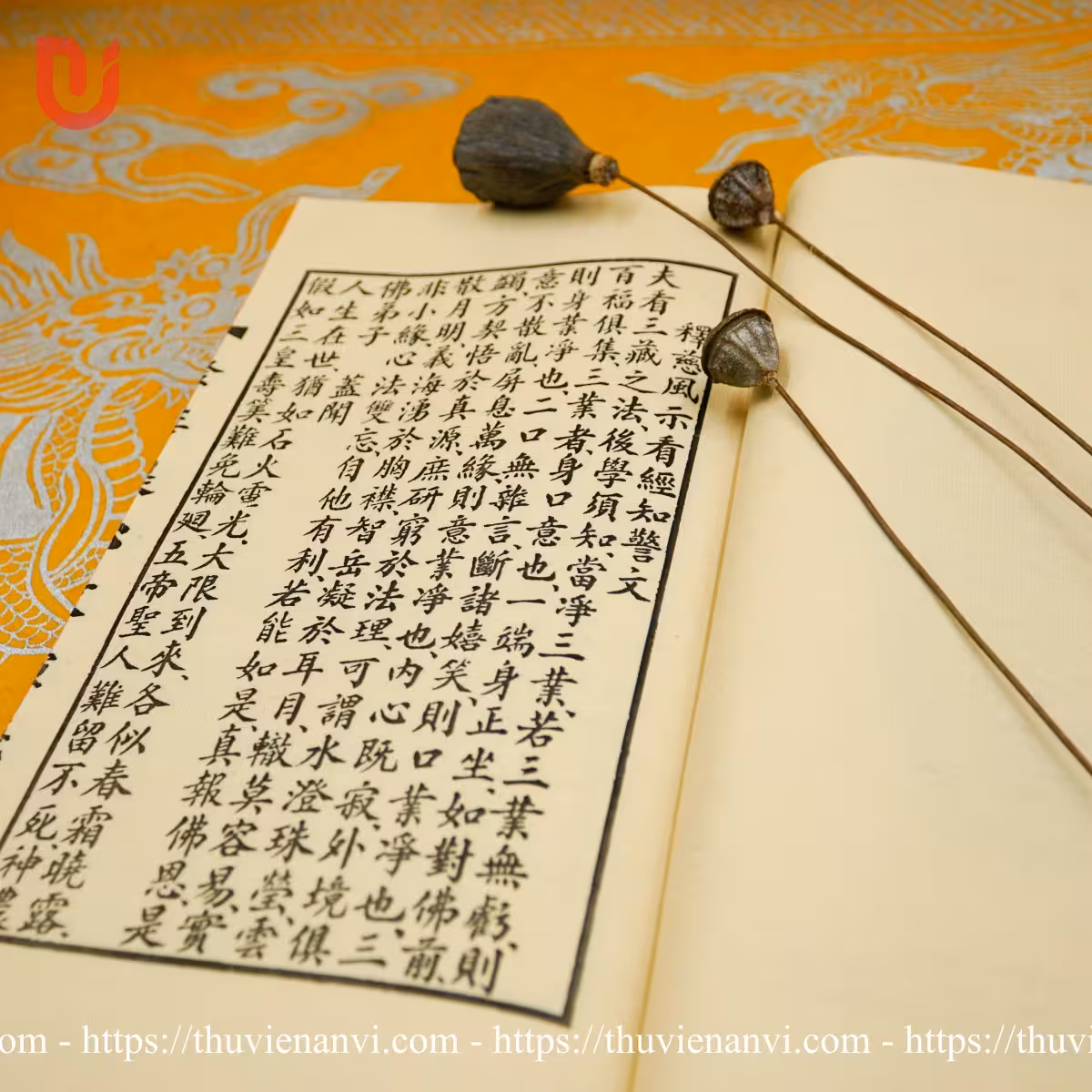 Phát Bồ Đề Tâm Văn Diễn Nghĩa - Ảnh 6