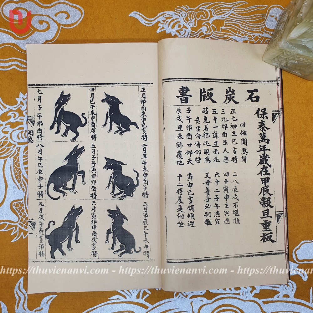 Quan sát đại bản toàn thư - Ảnh 5