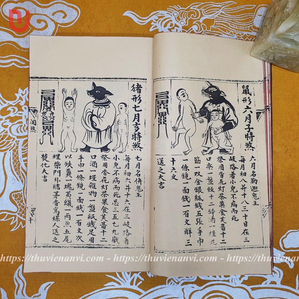 Quan sát đại bản toàn thư - Ảnh 6