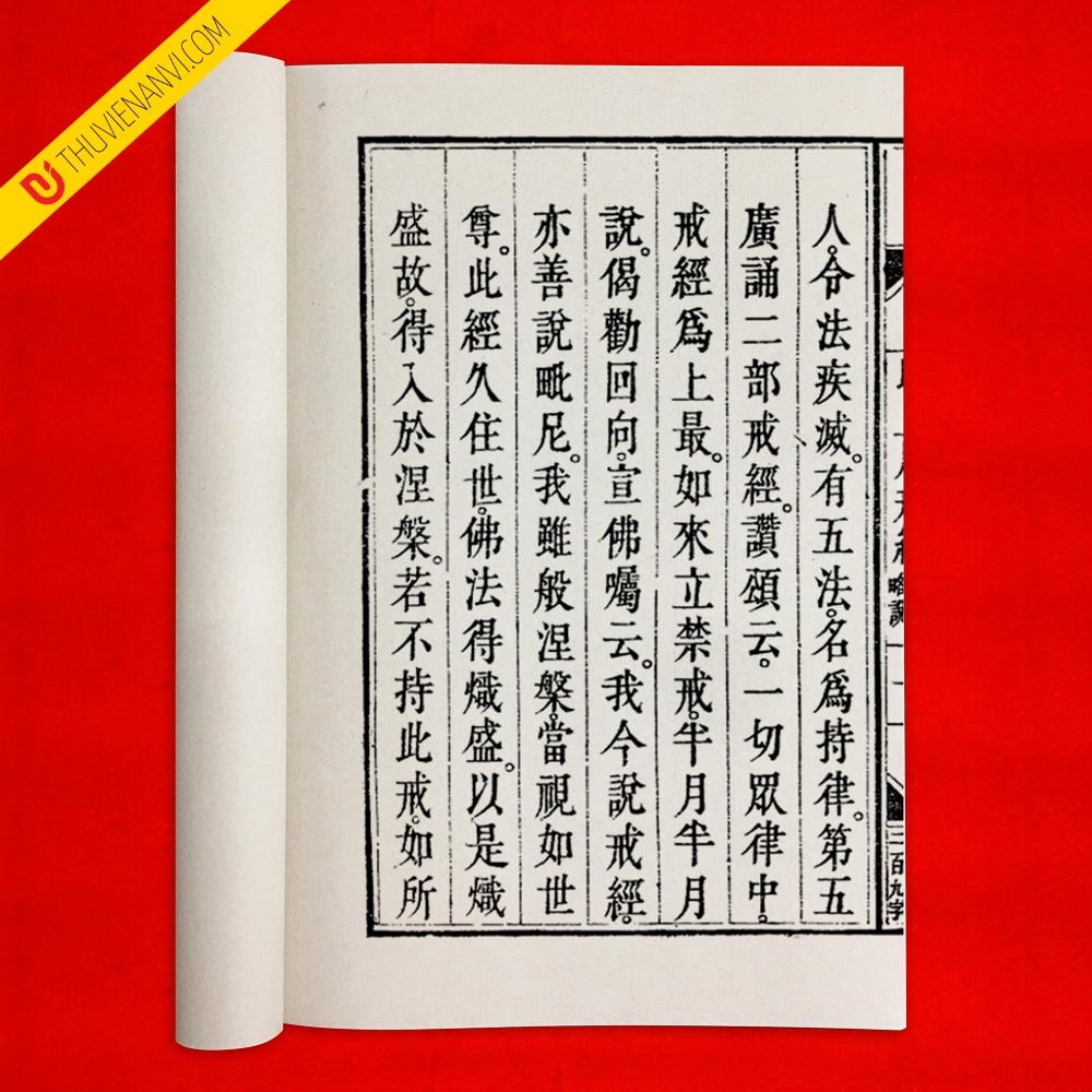 Tỳ Kheo Ni Giới 比丘尼戒 - Ảnh 2