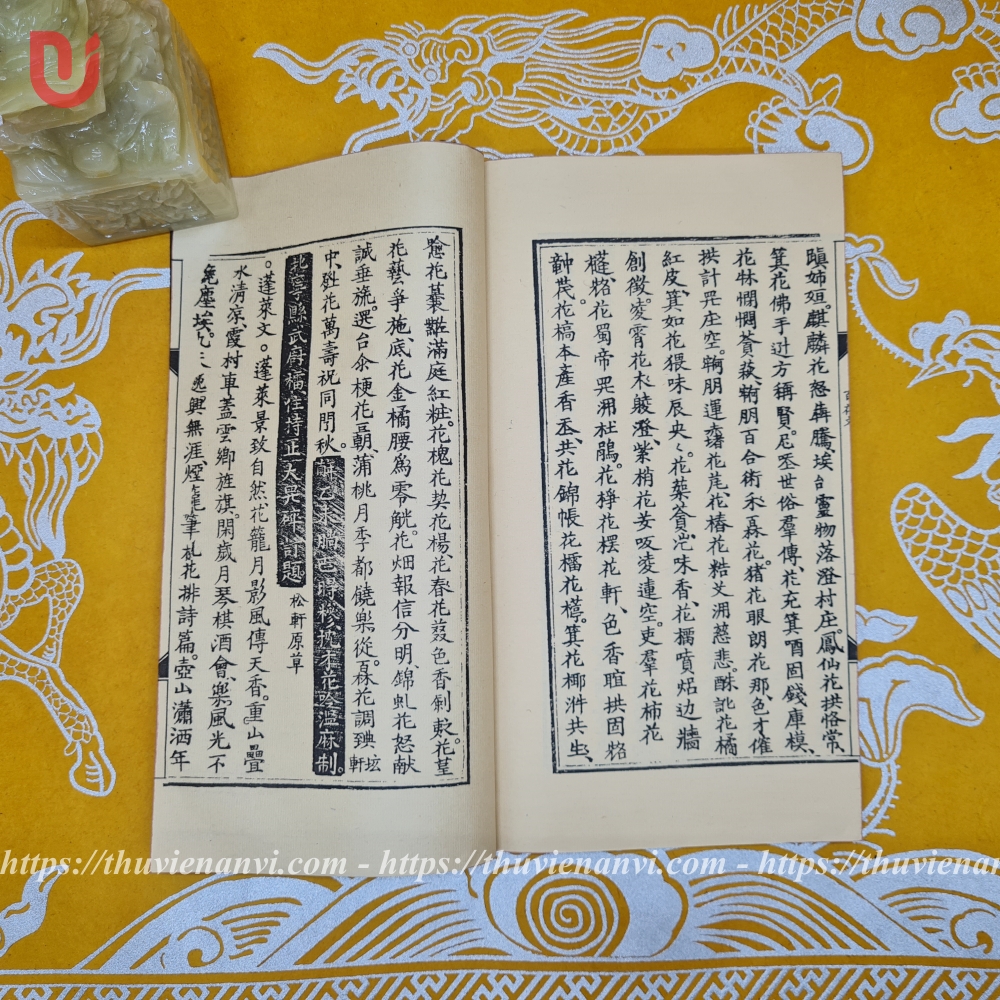 Ứng phó dư biên tổng tập - Ảnh 5