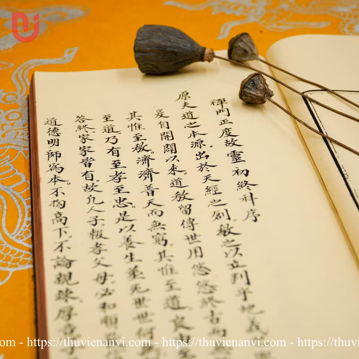 Thiền môn chánh độ cố linh sơ chung khoa - Ảnh 12