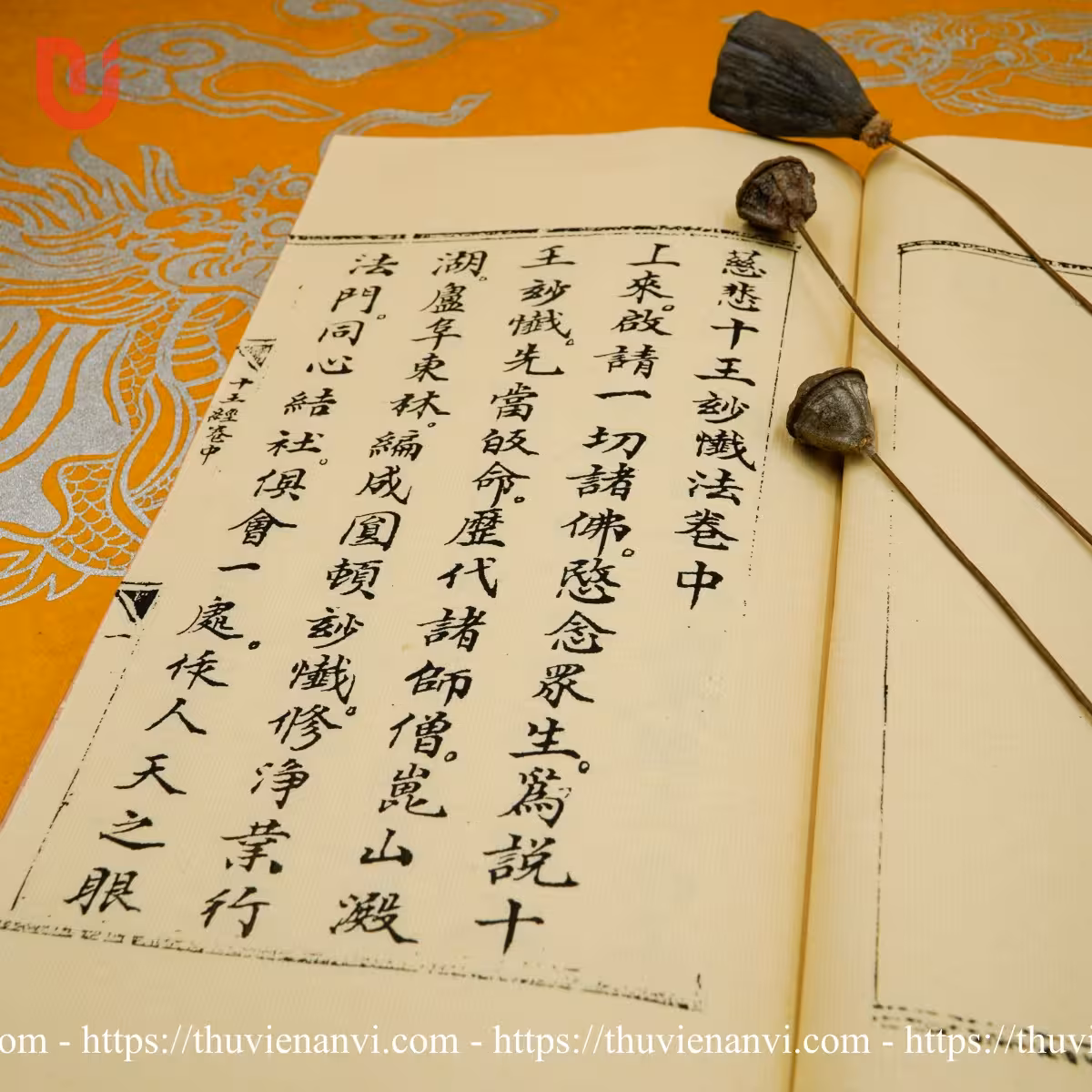 Từ bi thập vương (bộ 3 tập) - Ảnh 16