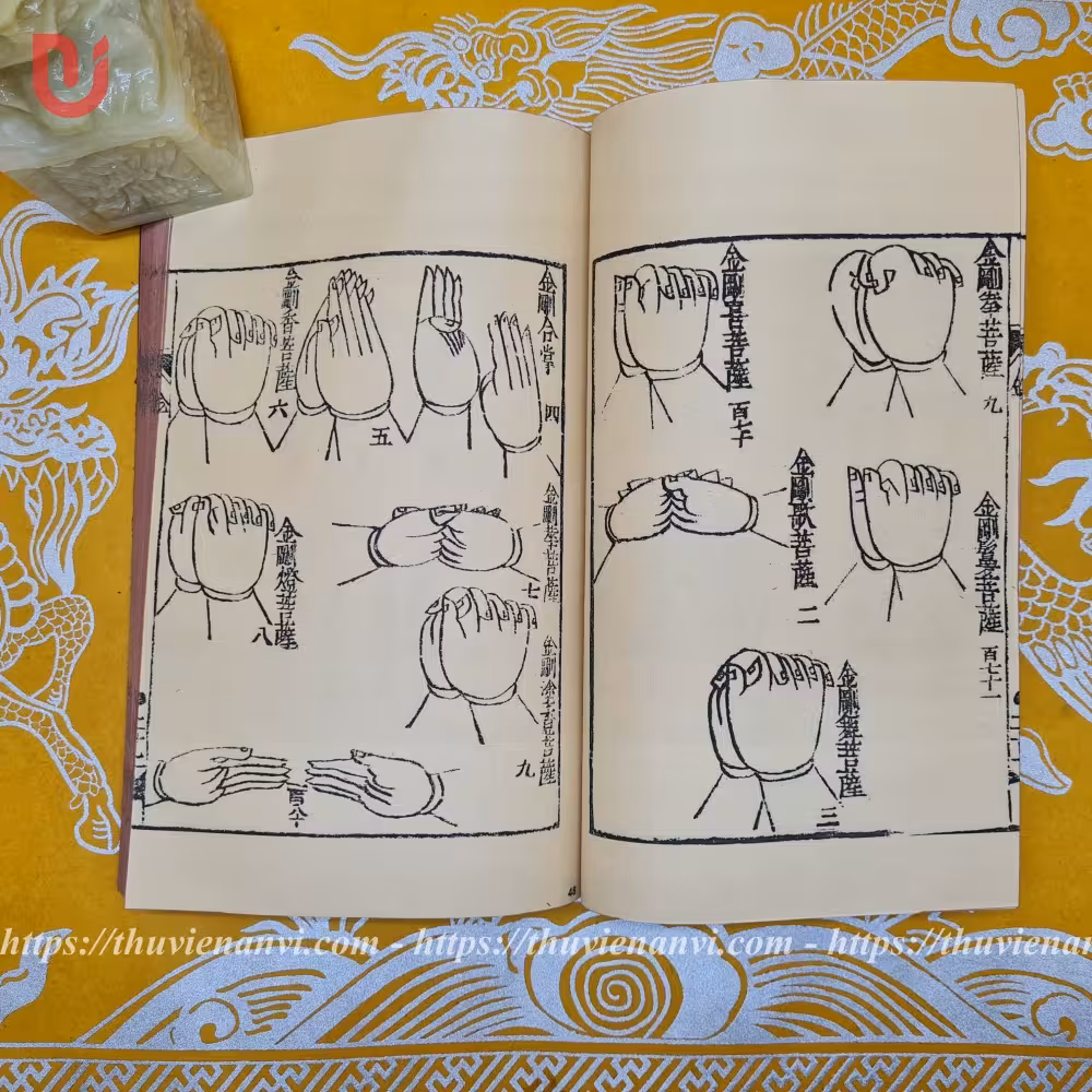 Thủ Ấn Đồ - Ảnh 4