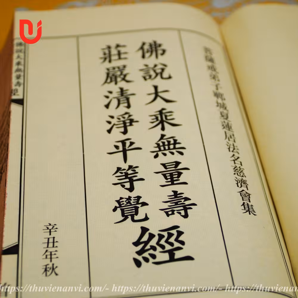 Phật Thuyết Đại Thừa Vô Lượng Thọ Trang Nghiêm Thanh Tịnh Bình Đẳng Giác Kinh - Ảnh 3