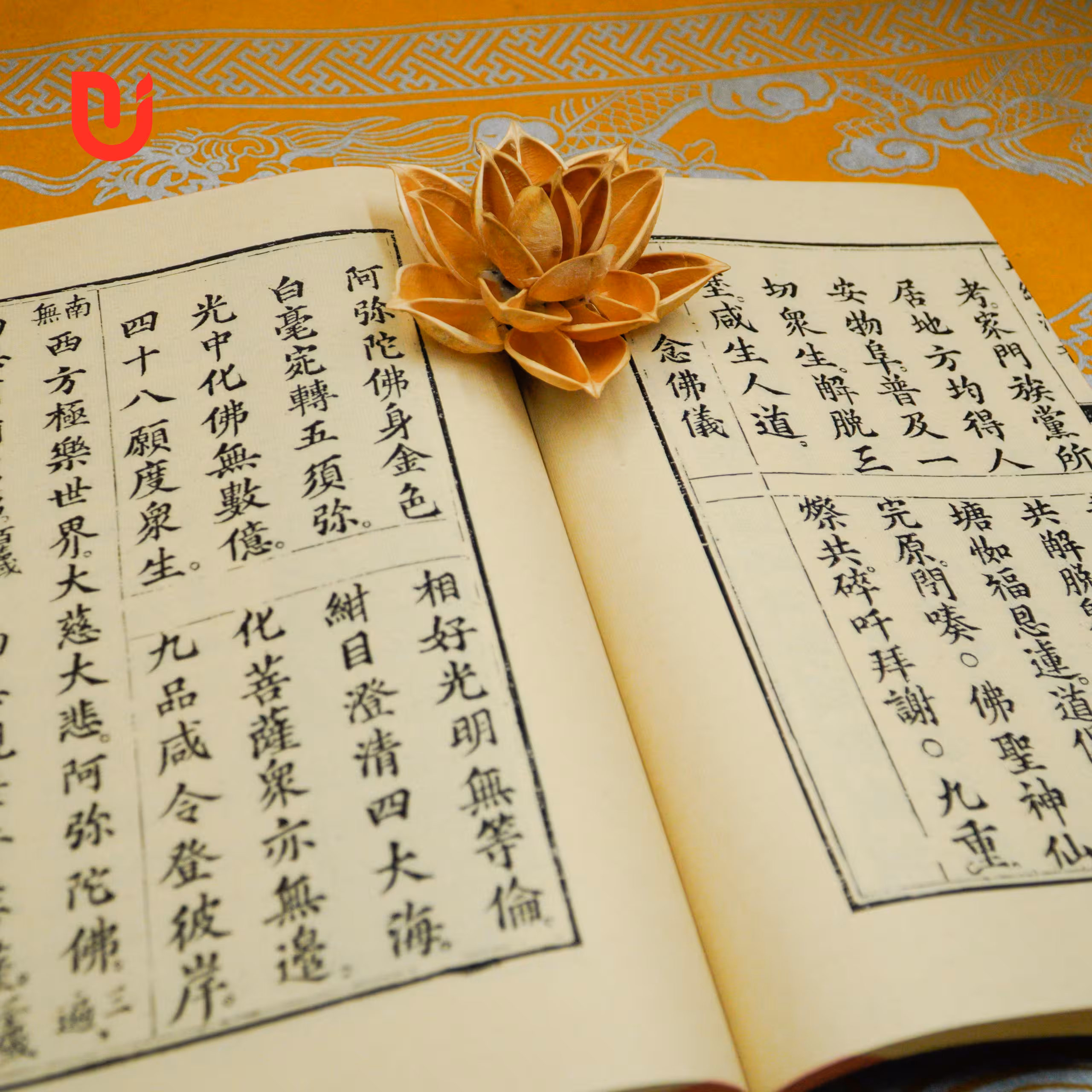 Trần Triều Hiển Thánh Chính Kinh (Hợp biên) - Ảnh 9