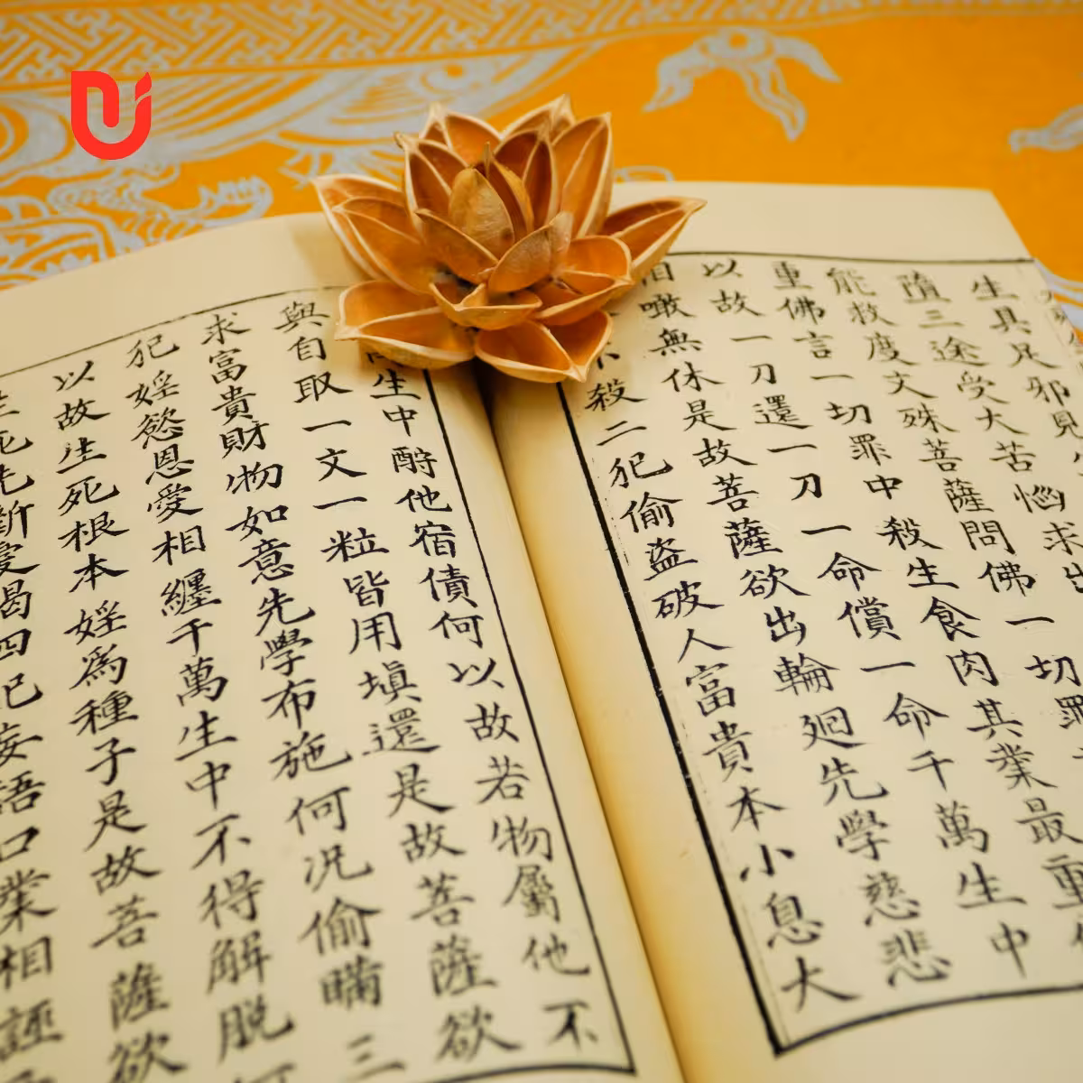 Đại Thừa Kim Cương Kinh Luận - Ảnh 7