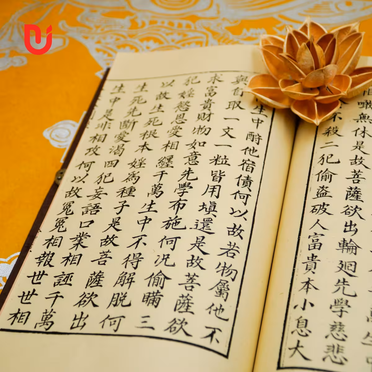 Đại Thừa Kim Cương Kinh Luận - Ảnh 8