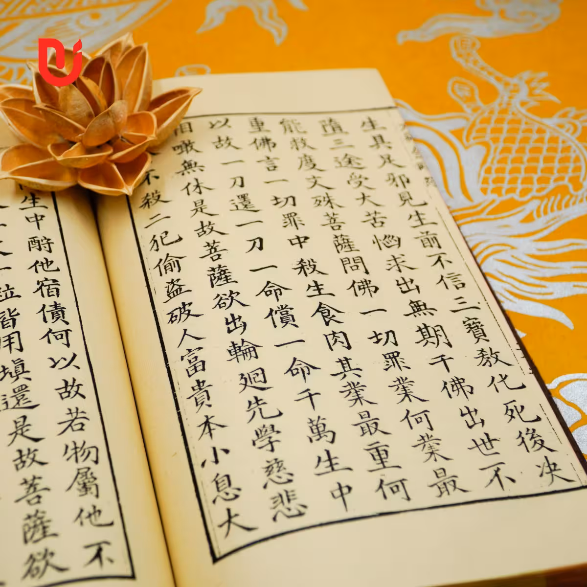 Đại Thừa Kim Cương Kinh Luận - Ảnh 9