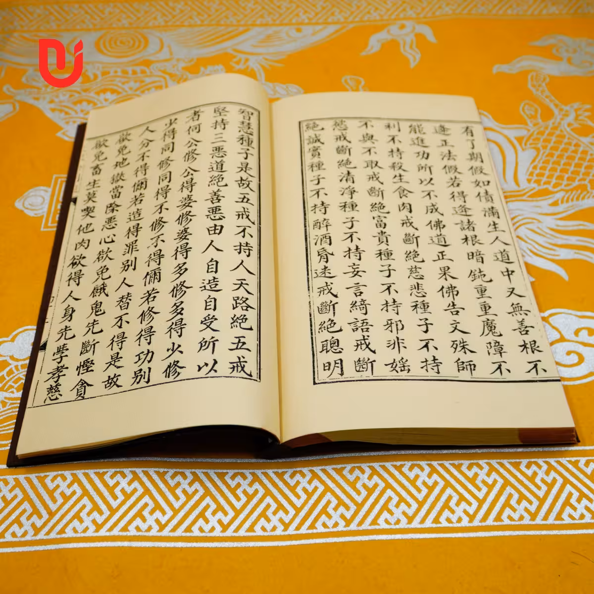 Đại Thừa Kim Cương Kinh Luận - Ảnh 10