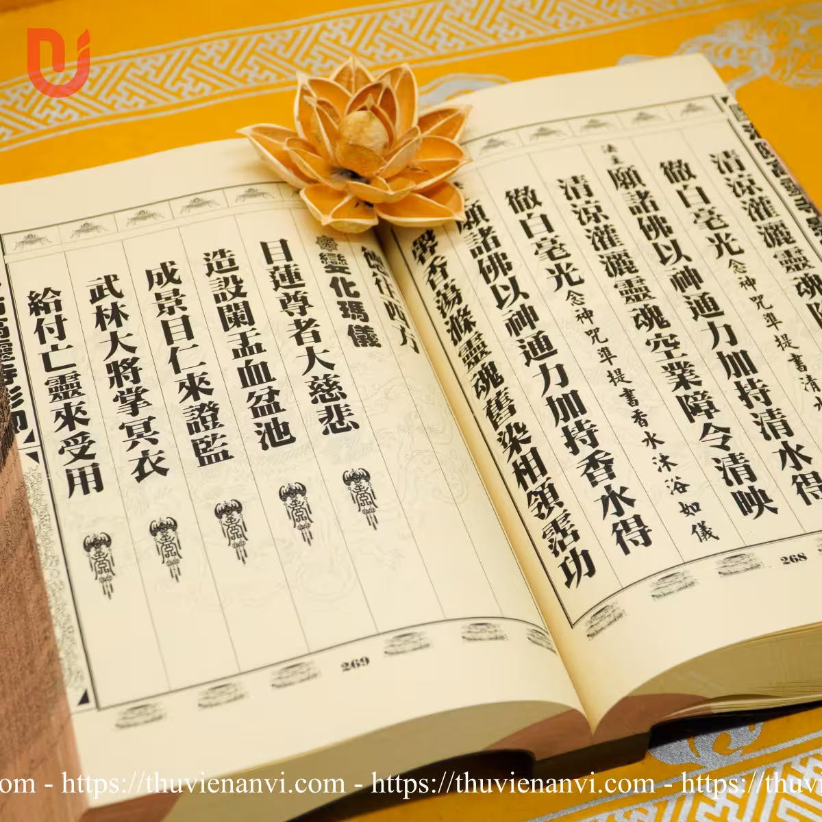 Phương tiện thông dụng chư khoa - Ảnh 8