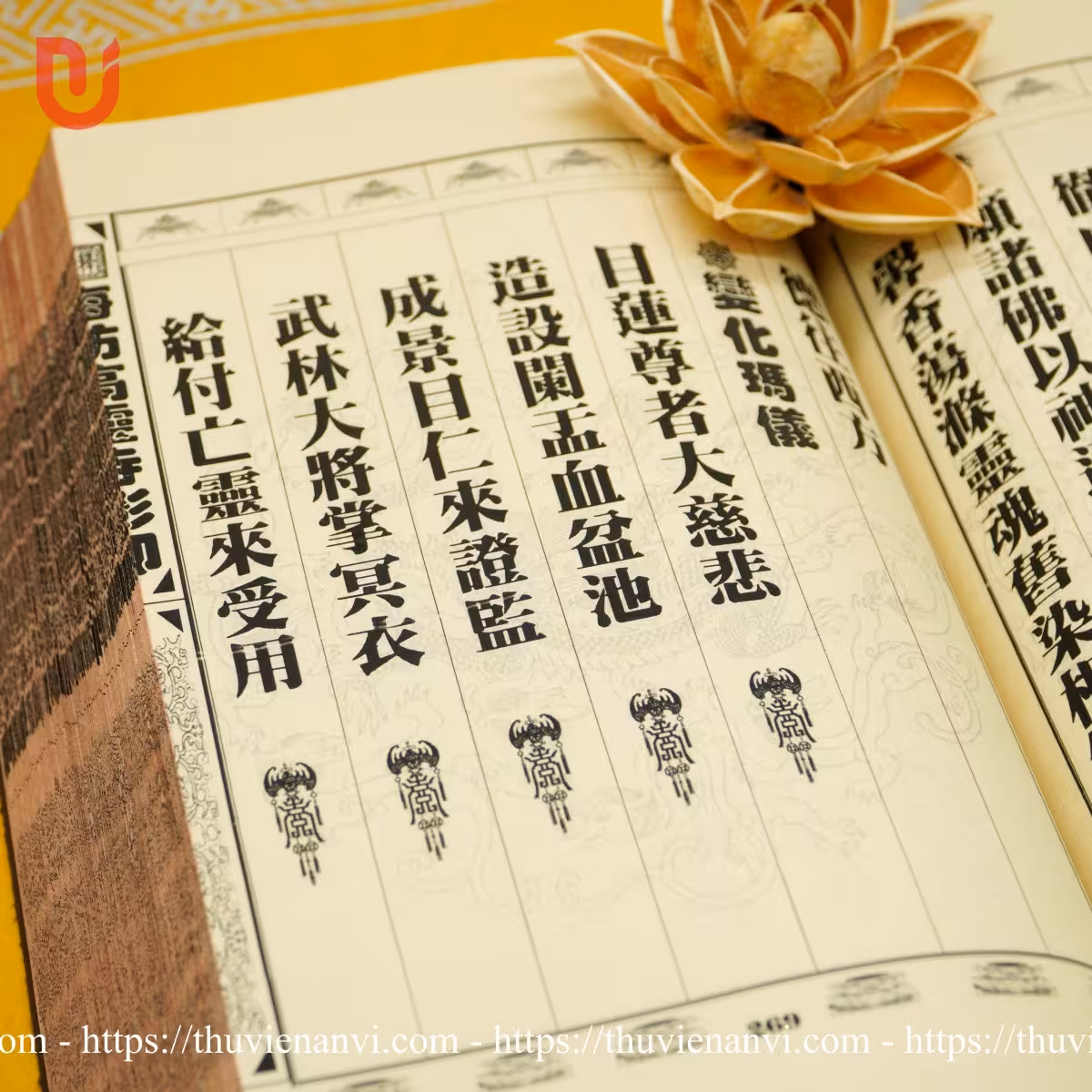 Phương tiện thông dụng chư khoa - Ảnh 9