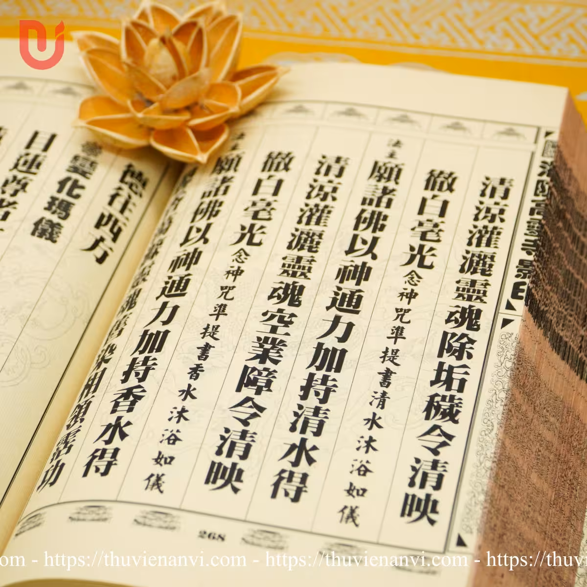 Phương tiện thông dụng chư khoa - Ảnh 10