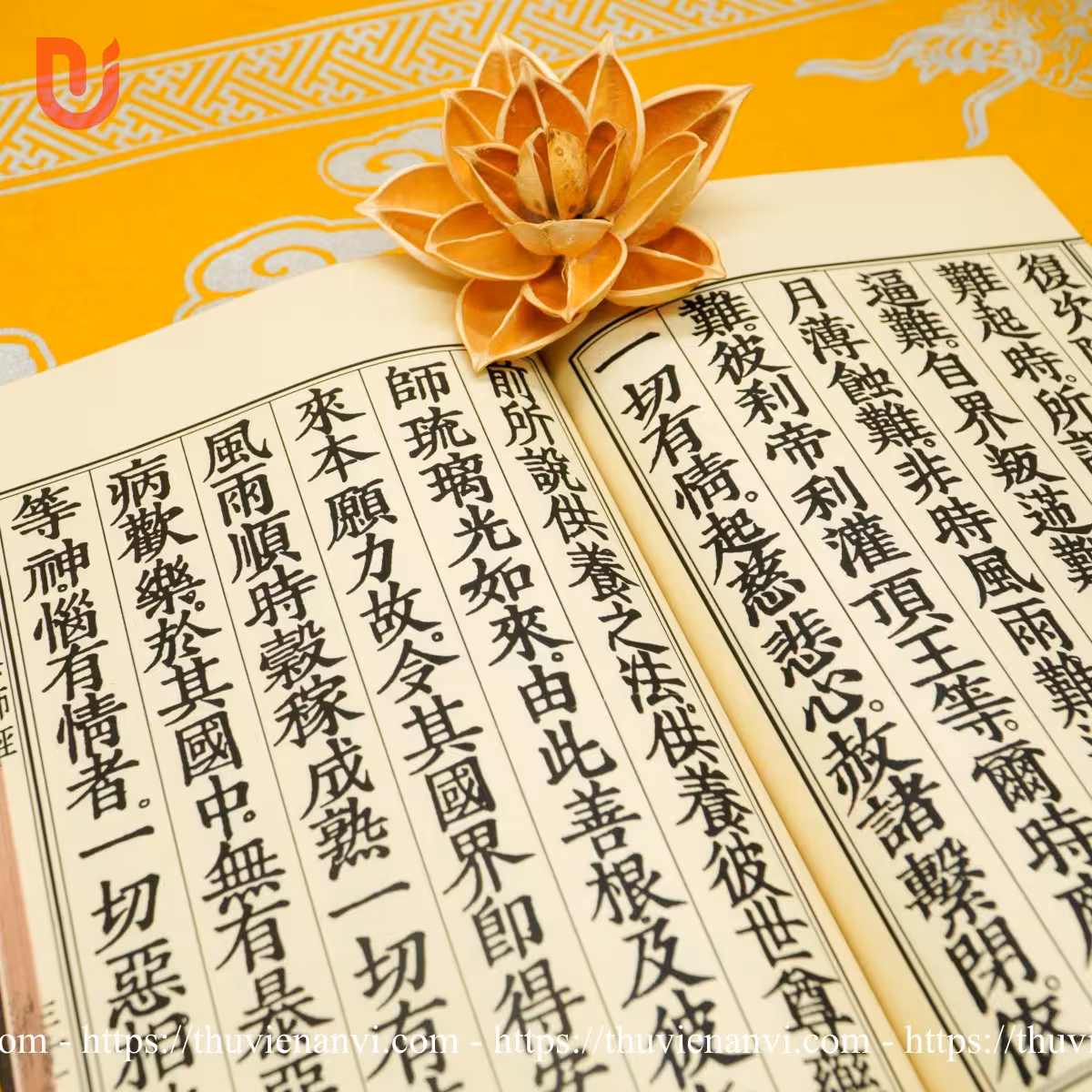 Chư Kinh Nhật Tụng - Ảnh 5