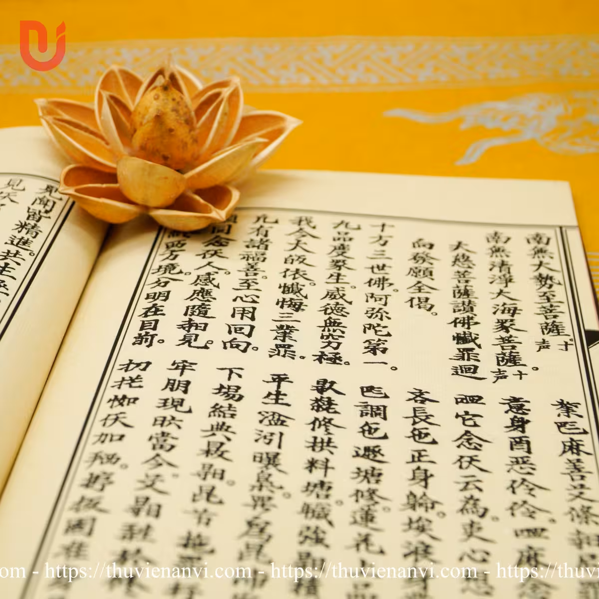 Kinh huấn trì niệm pháp ngôn trích yếu - Ảnh 6