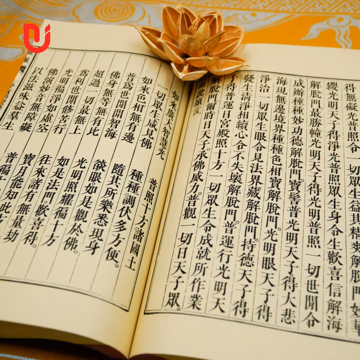 Đại Phương Quảng Phật Hoa Nghiêm Kinh (bộ 17 quyển) - Ảnh 20