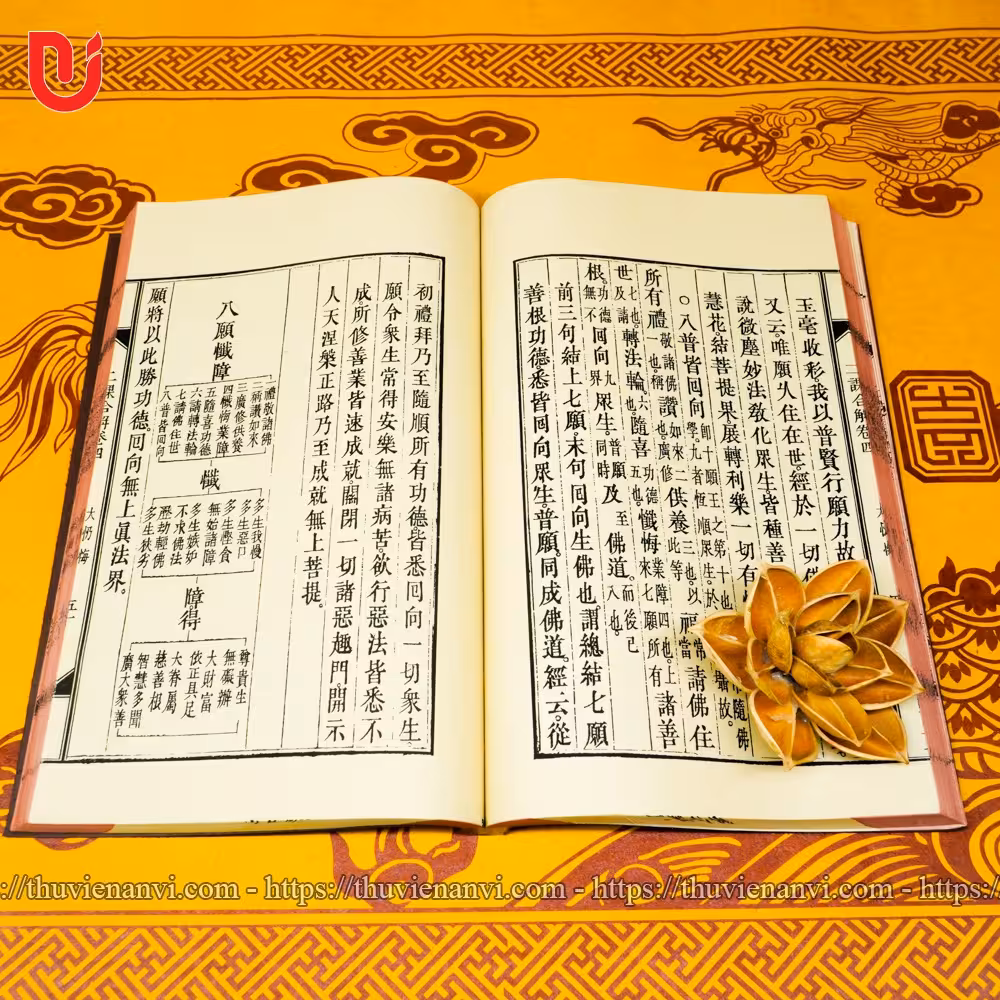 Nhị Khóa Hiệp Giải (Bộ 3 quyển) - Ảnh 11