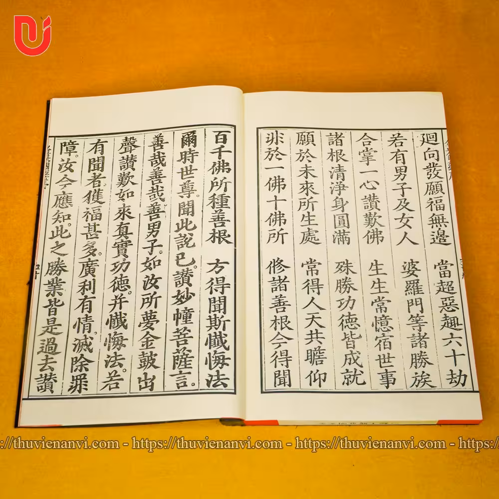 Kim Quang Minh Tối Thắng Vương Kinh (Bộ 5 quyển) - Ảnh 10