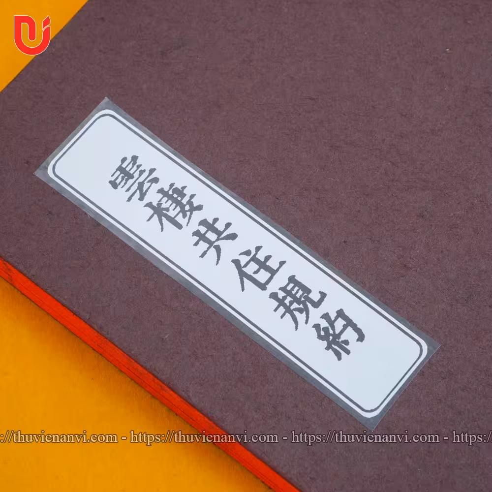 Vân Thê Cộng Trụ Quy Ước - Ảnh 4