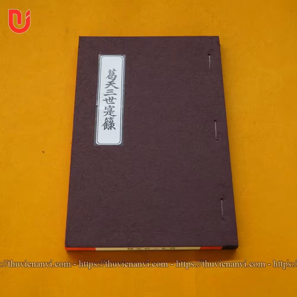 Cát Thiên Tam Thế Thực Lục - Ảnh 2