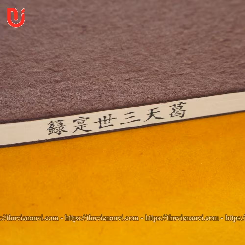 Cát Thiên Tam Thế Thực Lục - Ảnh 5