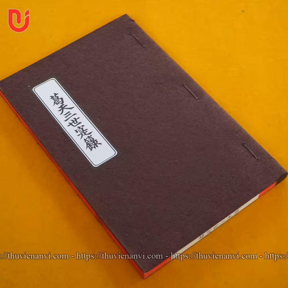 Cát Thiên Tam Thế Thực Lục - Ảnh 3