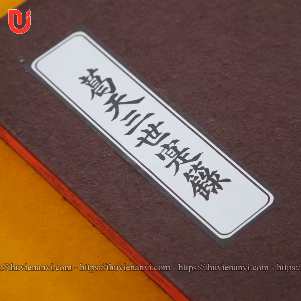 Cát Thiên Tam Thế Thực Lục - Ảnh 4