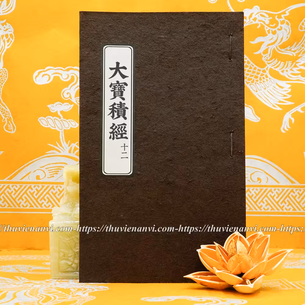 Đại Bảo Tích Kinh (bộ 24 tập) - Ảnh 5