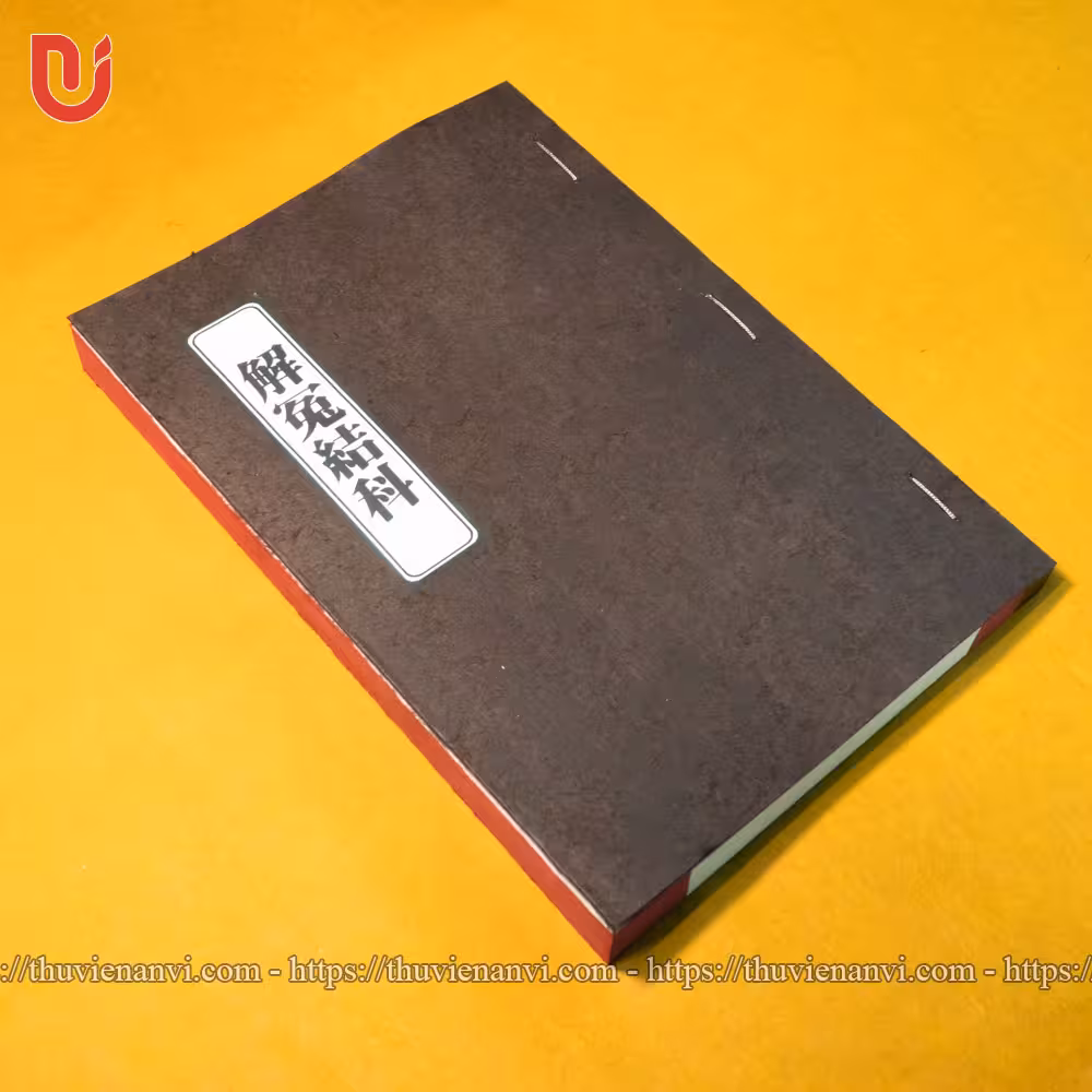 Giải Oan Kết Khoa - Song ngữ - Ảnh 13