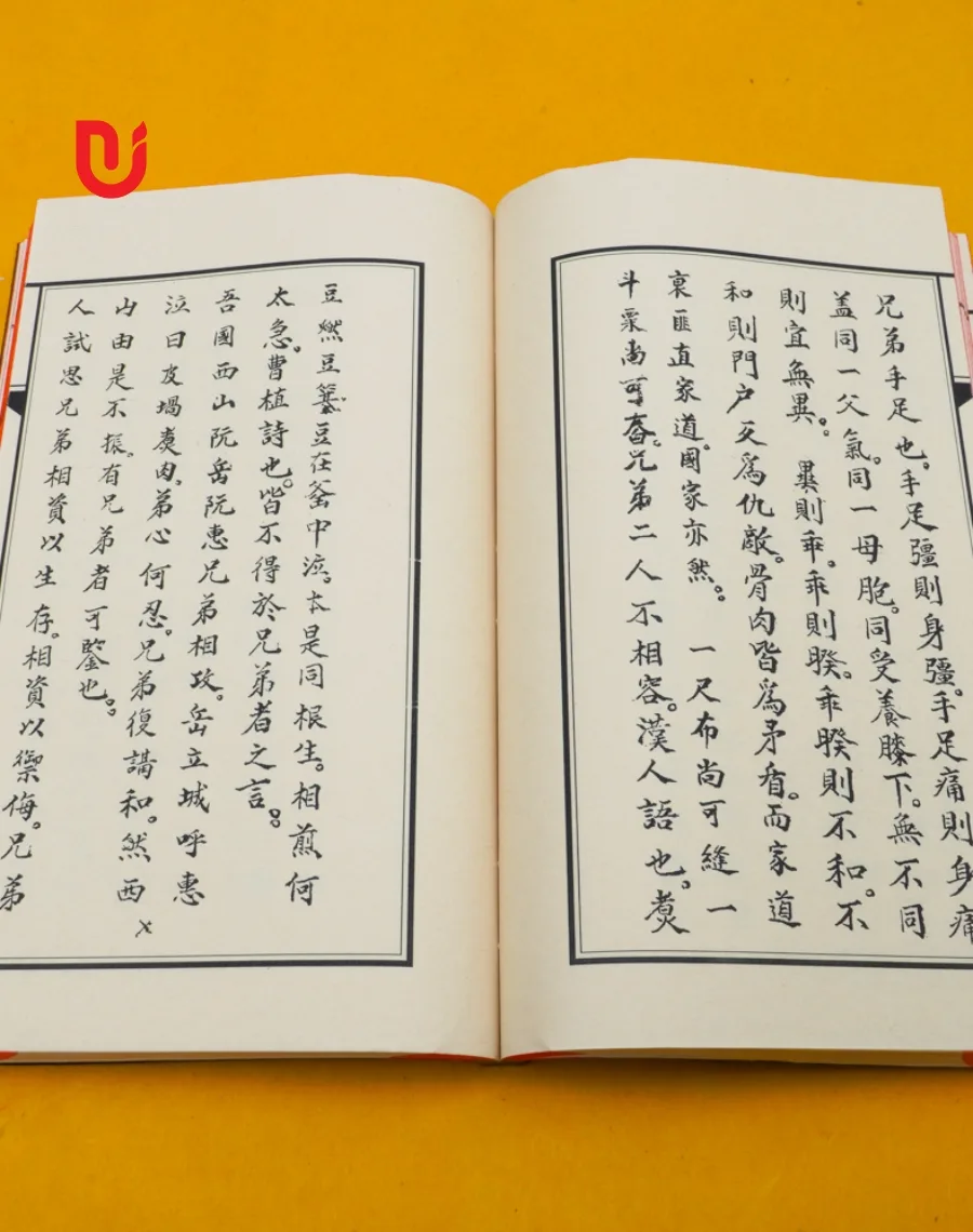 Ấu Học Hán Tự Tân Thư (Bộ 2 tập) - Ảnh 2