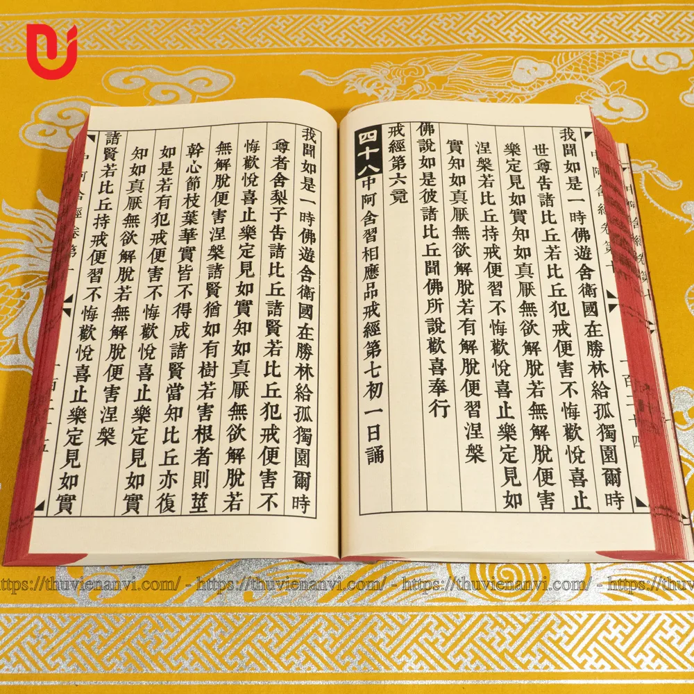 Trung A Hàm Kinh - Ảnh 2