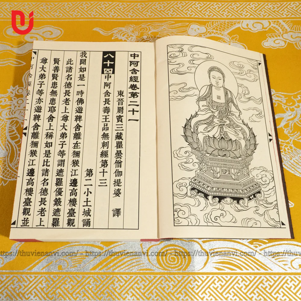 Trung A Hàm Kinh - Ảnh 3