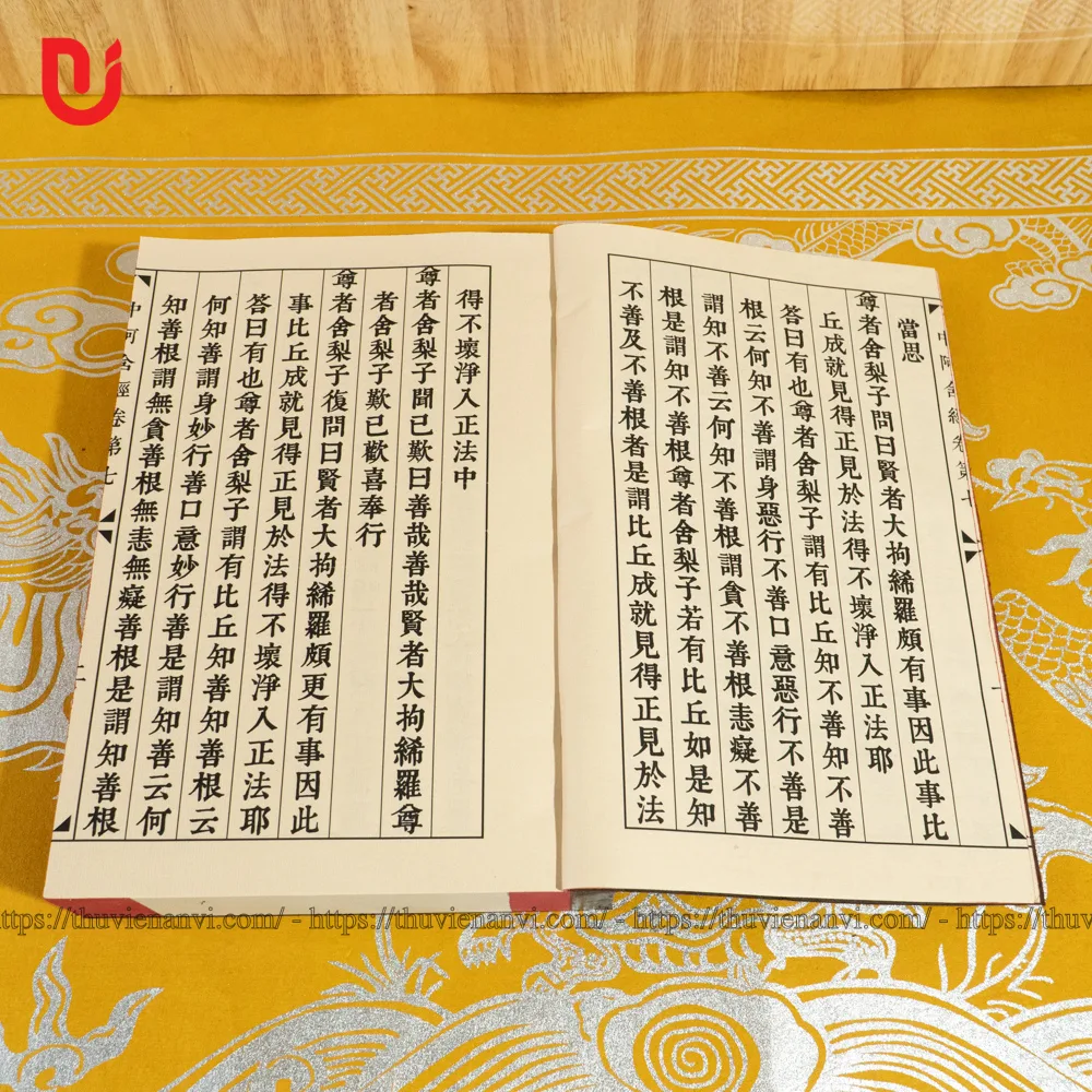 Trung A Hàm Kinh - Ảnh 5