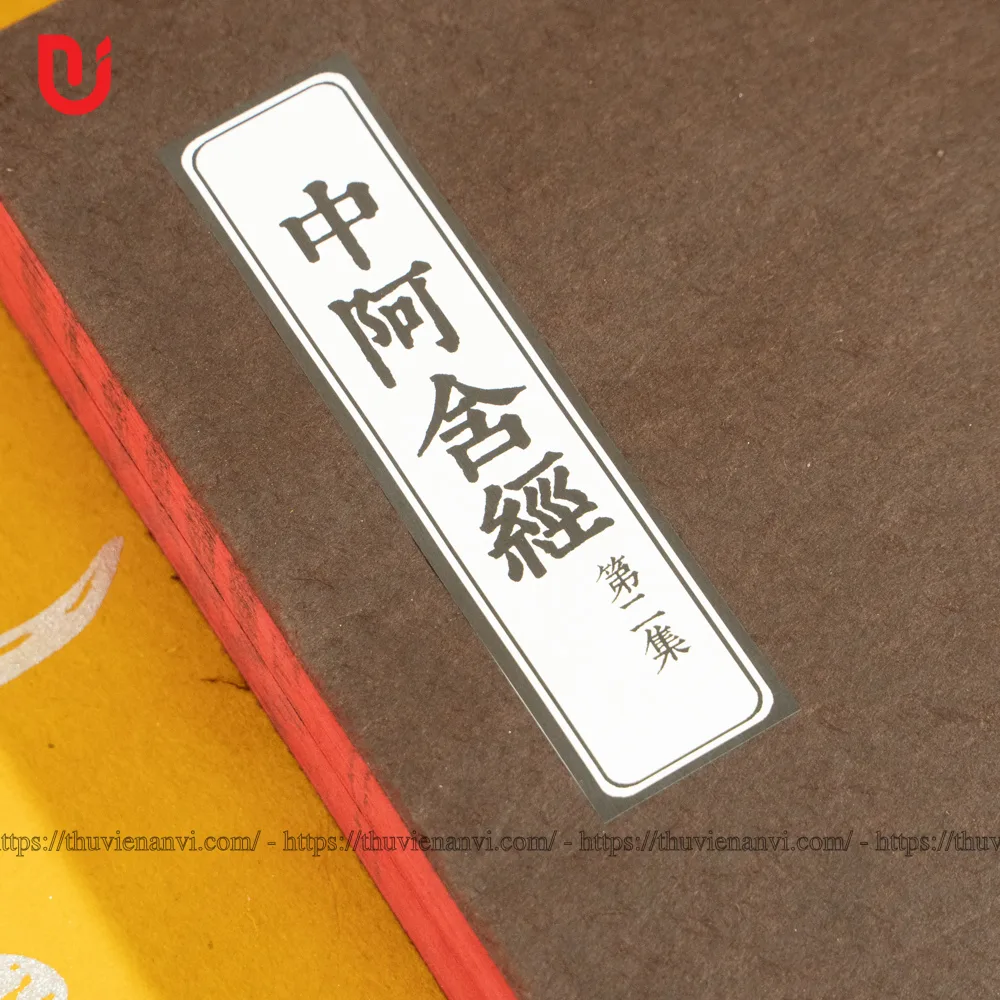 Trung A Hàm Kinh - Ảnh 6